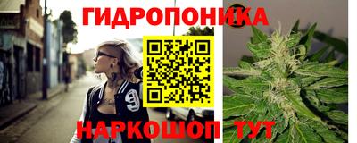 индика Будённовск