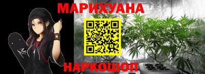 индика Будённовск