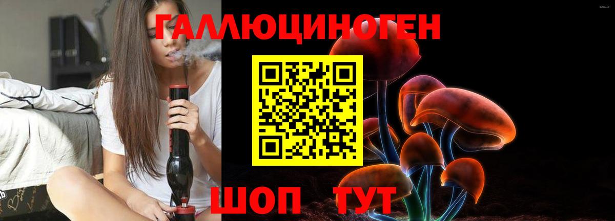 Галлюциногенные грибы GOLDEN TEACHER Новокубанск