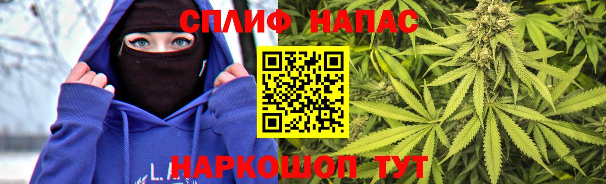 Шишки марихуана конопля Новокубанск